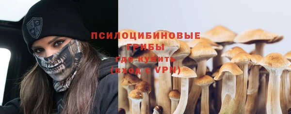 бошки Белокуриха