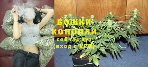 бошки Белокуриха