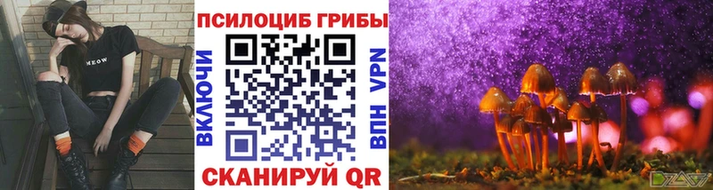 Псилоцибиновые грибы ЛСД  наркотики  Новоалександровск 